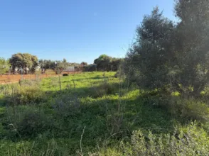 Terreno en La Soledad