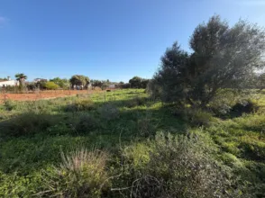 Terreno en La Soledad