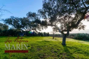 Finca rústica en Dehesilla de Calamón - Campomanes