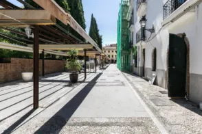 Local comercial en calle Príncipe