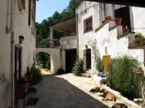 Rural Property in Boscos del Montnegre