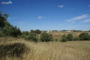 Terreno en Carretera de Campomayor