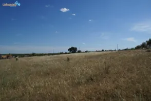 Terreno en Carretera de Campomayor