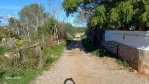 Terreno en Partida Plana d'Elies, 73
