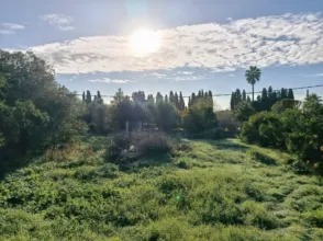 Finca rústica en Binissalem