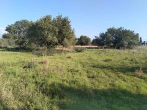 Finca rústica en Binissalem