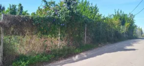 Terreno en Guadalupe