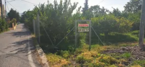 Terreno en Guadalupe