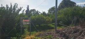 Terreno en Guadalupe