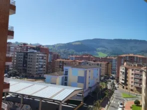 Piso en Arteagabeitia
