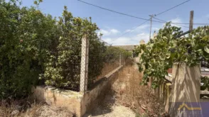 Finca rústica en calle Paraje Ruices, nº S/N