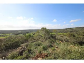 Casa en Serra Morena