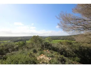 Casa en Serra Morena