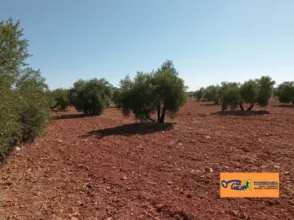 Finca rústica en Carretera de Cozar