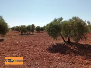 Finca rústica en Carretera de Cozar