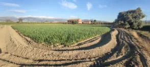 Rural Property in Cullar Vega