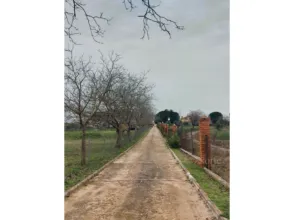 Casa en Ribatejada
