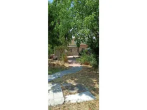 Finca rústica en Fuente el Saz de Jarama