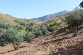 Terreno en calle Parage Valtocado