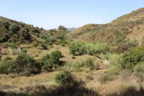 Terreno en calle Parage Valtocado