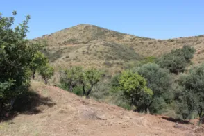 Terreno en calle Parage Valtocado