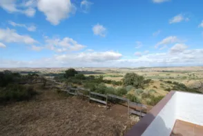 Finca rústica en San Martín de la Vega