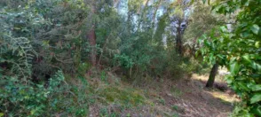 Terreno en Castellar del Vallès