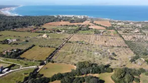 Finca rústica en Colònia de Sant Pere