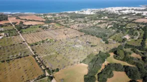 Finca rústica en Colònia de Sant Pere