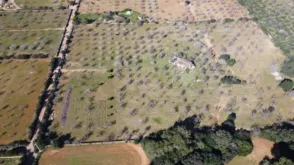 Finca rústica en Colònia de Sant Pere