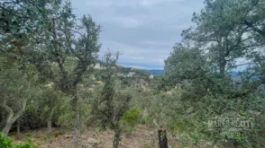 Terreno en Barri dels Pescadors