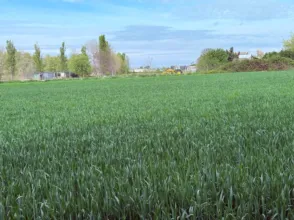 Finca rústica en Casetas-Garrapinillos-Monzalbarba