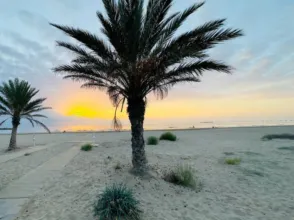 Piso en Platja del Port de Sagunt