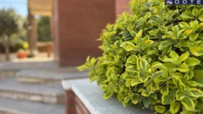 Chalet en Rincón del César