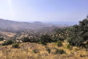 Terreno en Pinares de San Antón