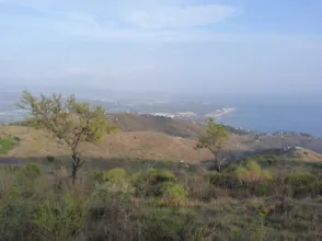 Finca rústica en Matagallares - Cota 200 - Minchal