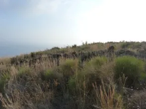 Finca rústica en Matagallares - Cota 200 - Minchal