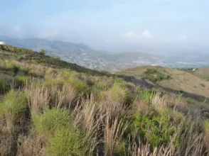 Finca rústica en Matagallares - Cota 200 - Minchal