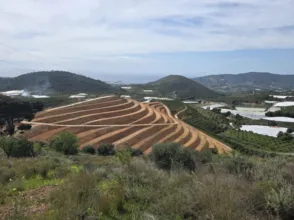 Finca rústica en Matagallares - Cota 200 - Minchal