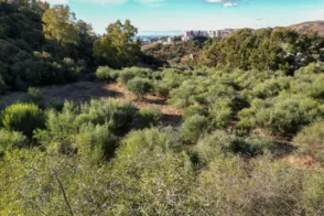 Terreno en Los Arqueros-Puerto del Almendro