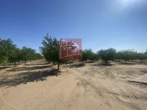 Finca rústica en Villanueva de La Serena