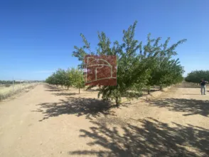 Finca rústica en Villanueva de La Serena