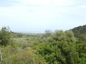 Finca rústica en Poble de Benicarló