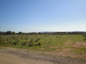 Finca rústica en Mas del Rey