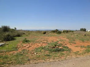 Finca rústica en Mas del Rey