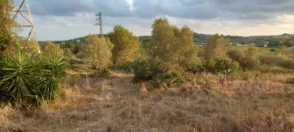 Terreno en Polígono 41