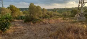 Terreno en Polígono 41