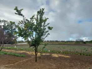Finca rústica en Norte