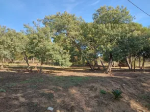 Finca rústica en Carrer Hortènsia