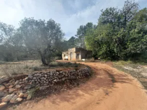 Rural Property in Polígono 21